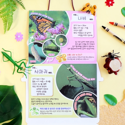 <자연곤충관찰>컬러링 곤충북