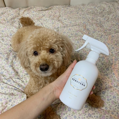 리노베라 피톤치드 편백수 스프레이 살균 탈취제 500mL