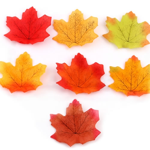 가을 단풍잎(10개)