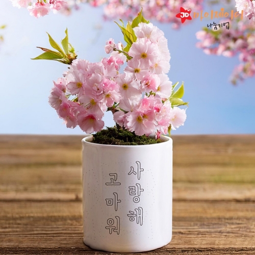 한글사랑 한글날기념 한 자음 색칠하기 세라믹 미니화분 연필꽂이 겸용(스칸디나비아이끼선택)