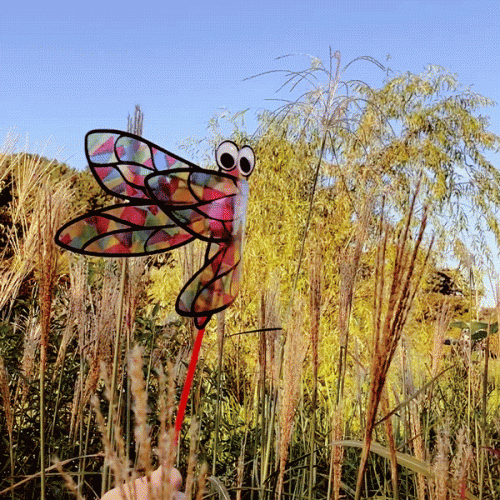 팔랑 잠자리 만들기 5set