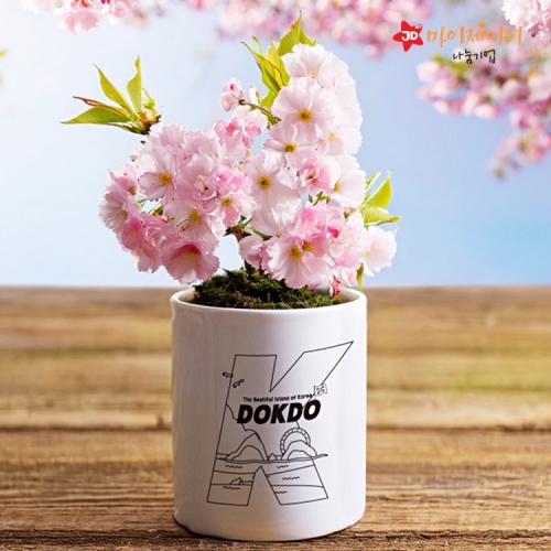 우리는 독도수호대 독도의날 기념 K 독도 그리기 세라믹 미니화분 연필꽂이 색칠하기 세라믹펜 별도