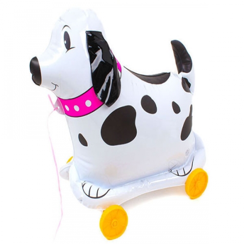 산책강아지 산책타요