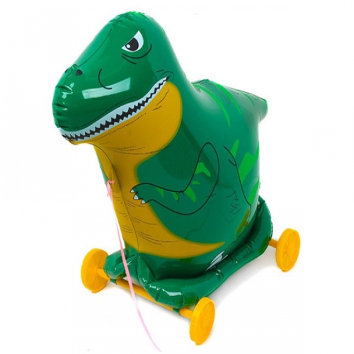 산책강아지 산책타요