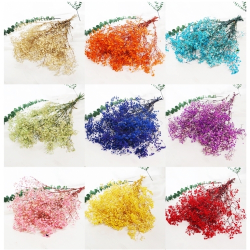 레진아트 양초 비누 디퓨저 아트 미니 꽃다발 공예용 프리저브드 안개꽃 미니 꽃다발10g