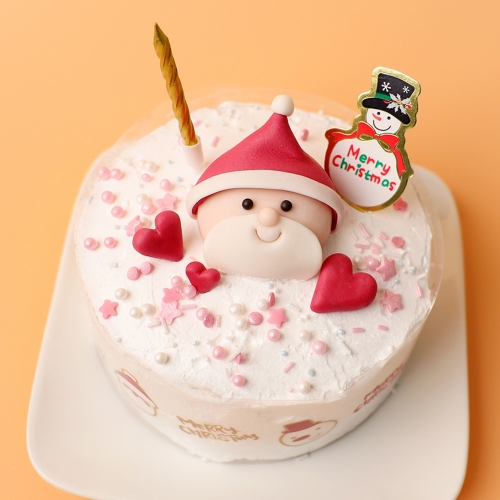 크리스마스 케이크 미니 / 쌀이랑놀자 DIY 키트 케이크만들기