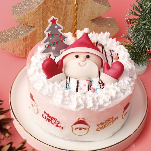 크리스마스 케이크 미니 / 쌀이랑놀자 DIY 키트 케이크만들기