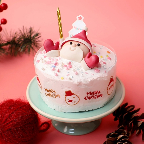 크리스마스 케이크 미니 / 쌀이랑놀자 DIY 키트 케이크만들기