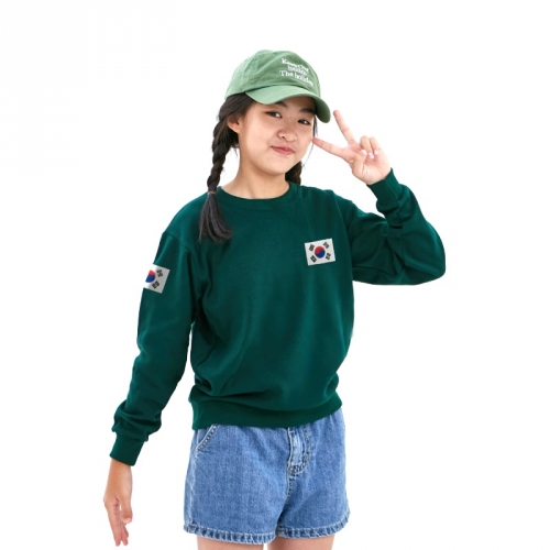 국내산 고급 특양면 맨투맨 아트 티셔츠 긴팔 _ 대한민국 태극기 와펜 자수 맨투맨 (아동/성인)