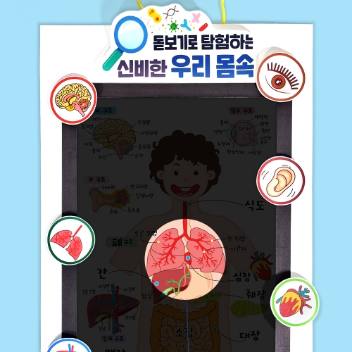 [탑키드] 북아트 돋보기로 탐험하는 우리 몸속