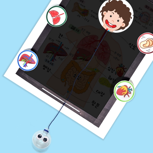 [탑키드] 북아트 돋보기로 탐험하는 우리 몸속