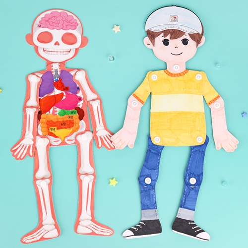 [오늘놀이] 소중한 나_종이 관절 인형 만들기(37cm/인체장기스티커포함/KC인증)