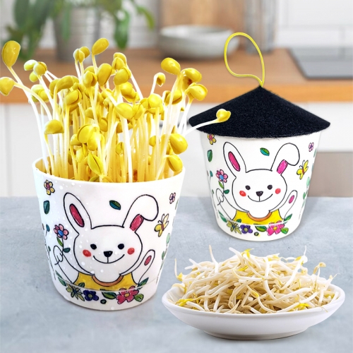 [탑키드] 나만의 콩나물 키우기 화분 키트