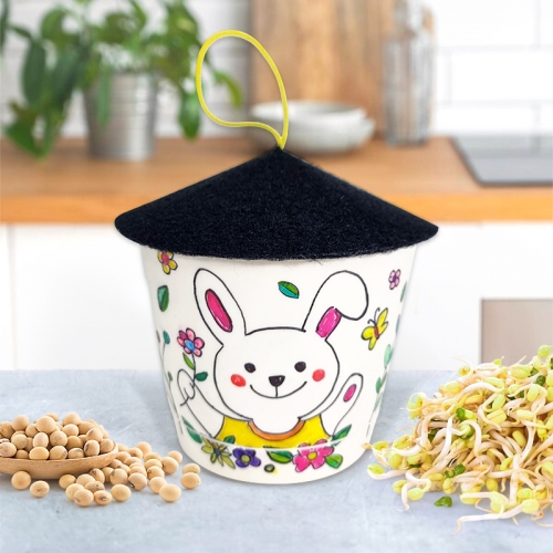 [탑키드] 나만의 콩나물 키우기 화분 키트