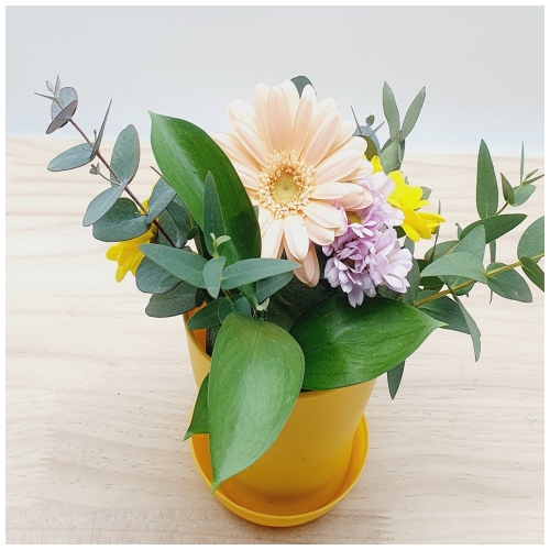 생화꽃꽃이화분만들기1인