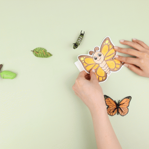 [오늘놀이] 자연관찰 폴딩북 한살이 피규어(자연관찰/성장과정/나비/개구리/피규어 포함/KC인증)