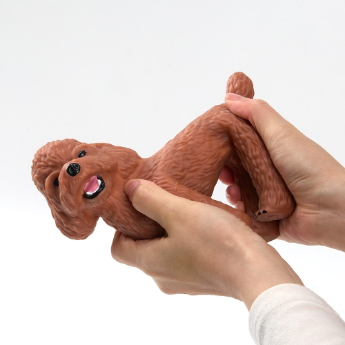 [캐스B]네이처 소프트반려동물6종세트(2698)