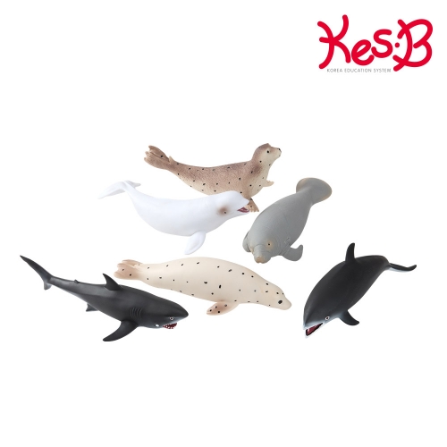 [ĳB]ó Ʈٴٵ6Ʈ(2699)
