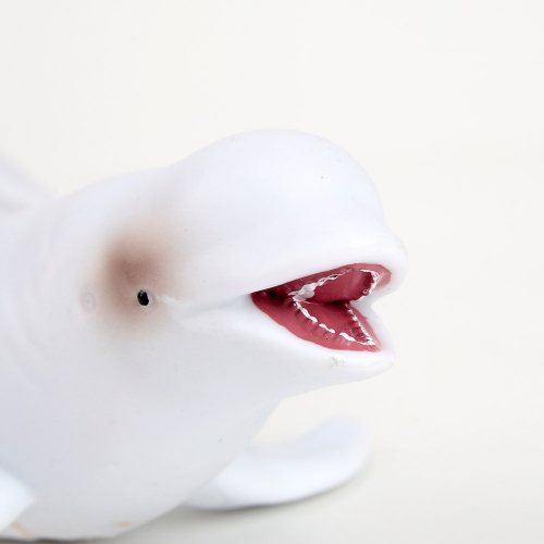 [캐스B]네이처 소프트바다동물6종세트(2699)