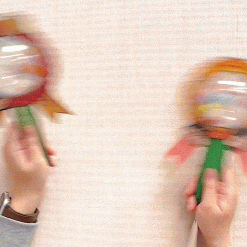 카네이션 응원봉 5set