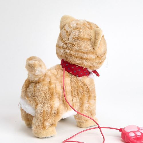 [캐스B]플레이 그루밍하는고양이(2736)