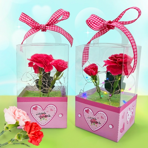 [탑키드] LED 카네이션 선물 상자 무드등 만들기