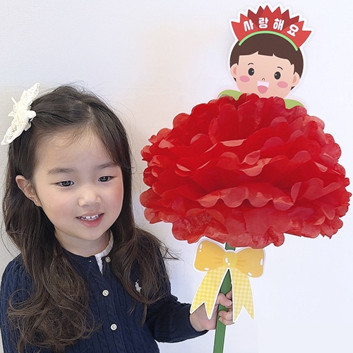 내얼굴 대왕 카네이션