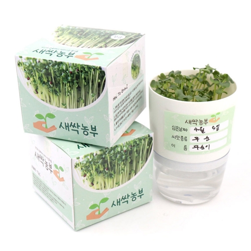 새싹농부 무순 브로콜리 새싹기르기(6개)
