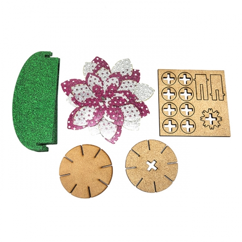 빅 플라워 선인장