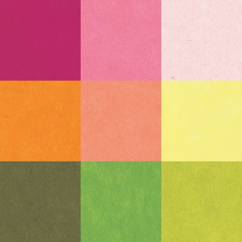 한지 색한지 (25장)