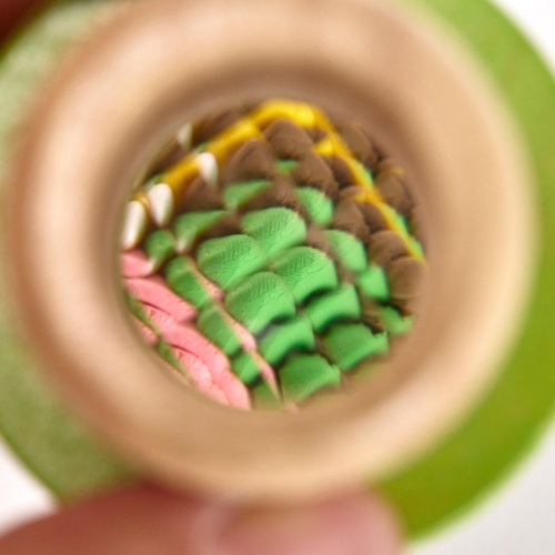 [캐스B]네이처 버섯곤충아이3종(2868)