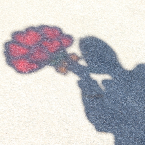 메이크문구 DIY729 대왕카네이션만들기 썬캐쳐