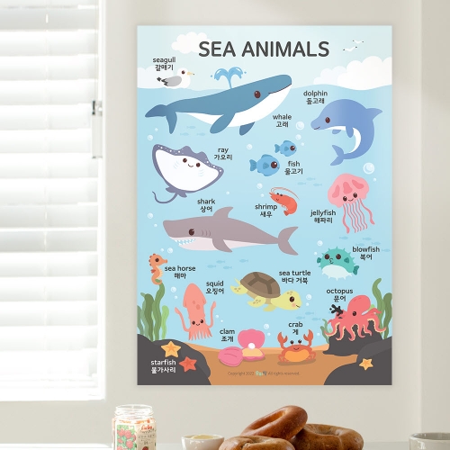 [우아띵] 바다동물 벽보 학습 과학 자연관찰 해양생물 고래