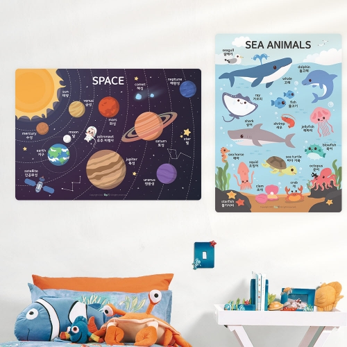 [우아띵] 바다동물 벽보 학습 과학 자연관찰 해양생물 고래