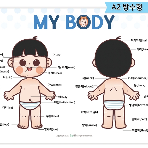 [ƶ] 츮  ü ü Ǳ