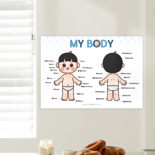 [우아띵] 우리몸 벽보 신체 인체 보건교육