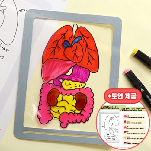 우리 몸 비추기 5set