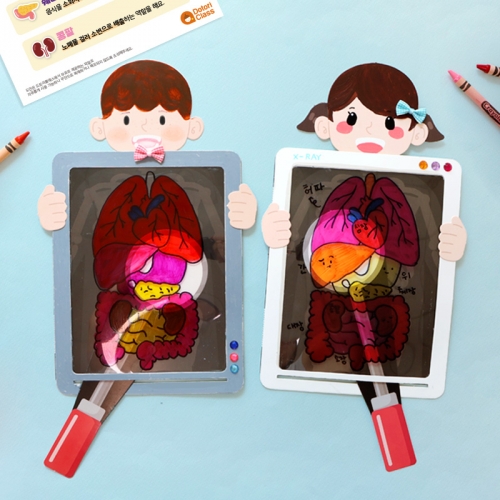 우리 몸 비추기 5set