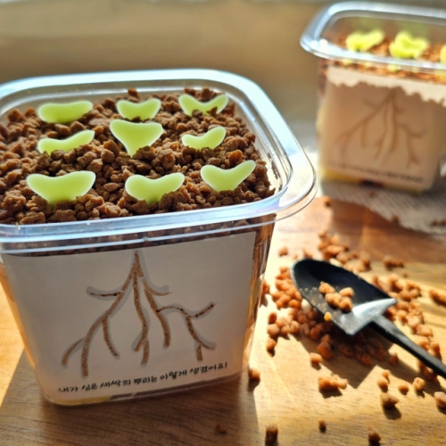 아이솜씨 새싹 컵 케이크 만들기 어린이 요리키트 어린이집 요리활동