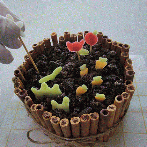 아이솜씨  텃밭 화분 도시락 케이크 만들기 세트 어린이 요리키트