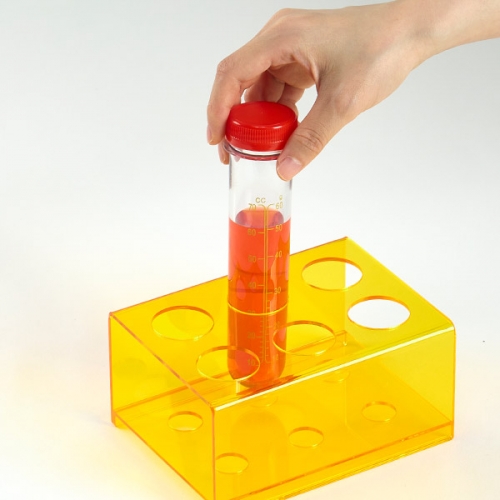 [캐스비]네이처 브레인키즈 점보시험관6종(2821) (종류 선택가능)