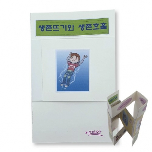 생존뜨기와 생존호흡 팝업북 만들기