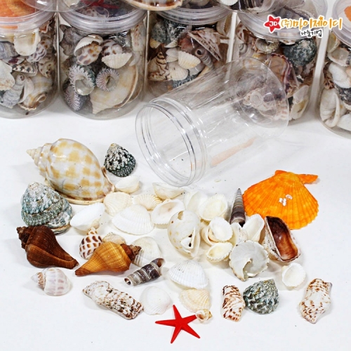 레진아트 네일아트 공예 만들기 꾸미기_바다친구들/작은조개와 소라껍데기 모음