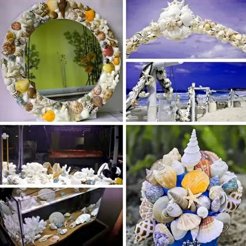 레진아트 네일아트 공예 만들기 꾸미기_바다친구들/작은조개와 소라껍데기 모음