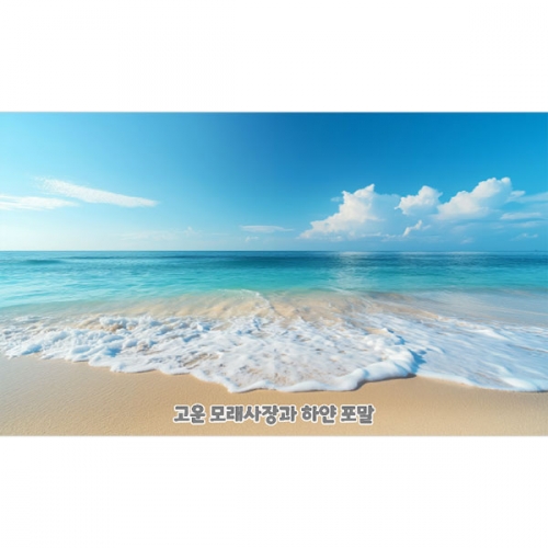 [파티붕붕] D4828 바다 현수막 / 어린이집 해수욕장 현수막 유치원 여름 파도 배경 포토존