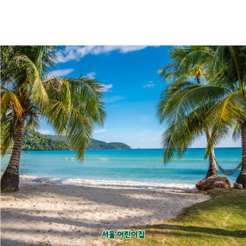 [파티붕붕] D4825 여름 바다 현수막 / 유치원 해변 해수욕장 현수막 동남아 야자수 배경 포토존