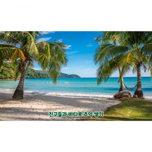 [파티붕붕] D4825 여름 바다 현수막 / 유치원 해변 해수욕장 현수막 동남아 야자수 배경 포토존