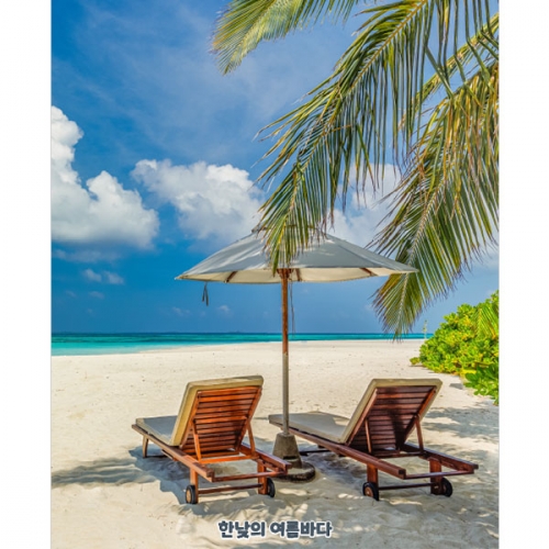 [파티붕붕]D4824 비치 파라솔 현수막 / 어린이집 여름 바다 현수막 유치원 해수욕장 포토존