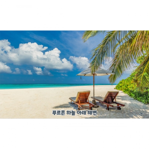 [파티붕붕]D4824 비치 파라솔 현수막 / 어린이집 여름 바다 현수막 유치원 해수욕장 포토존