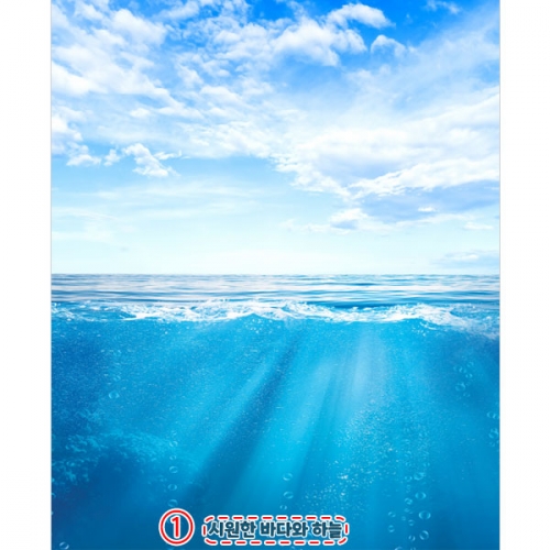 [파티붕붕]D4823 바다속 현수막 / 유치원 어린이집 바다 현수막 여름 배경 포토존 제작